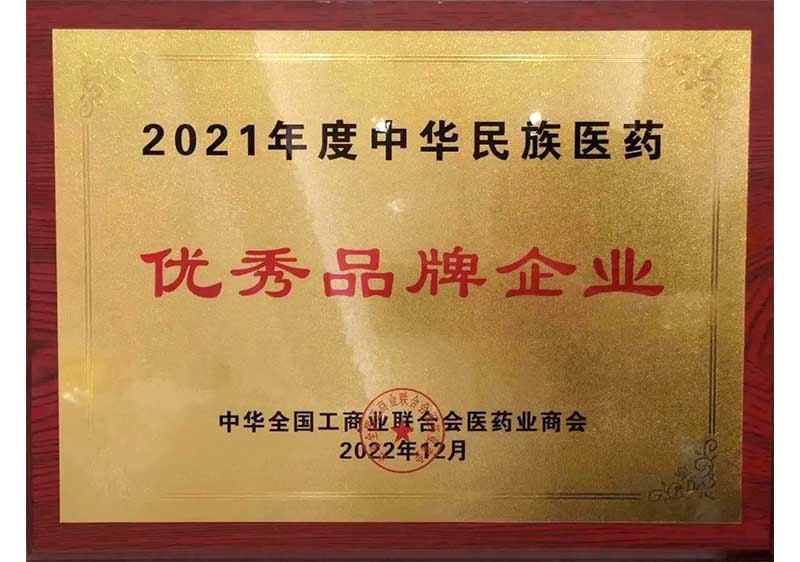 中华民族医药优秀品牌企业